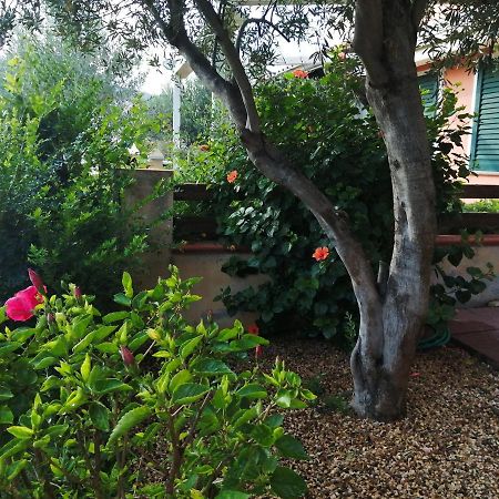 La Casa Nel Borgo Villa Chia Exteriör bild