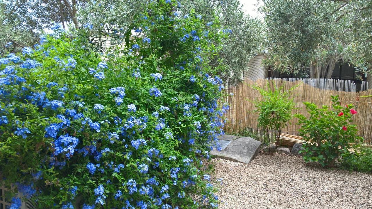 La Casa Nel Borgo Villa Chia Exteriör bild