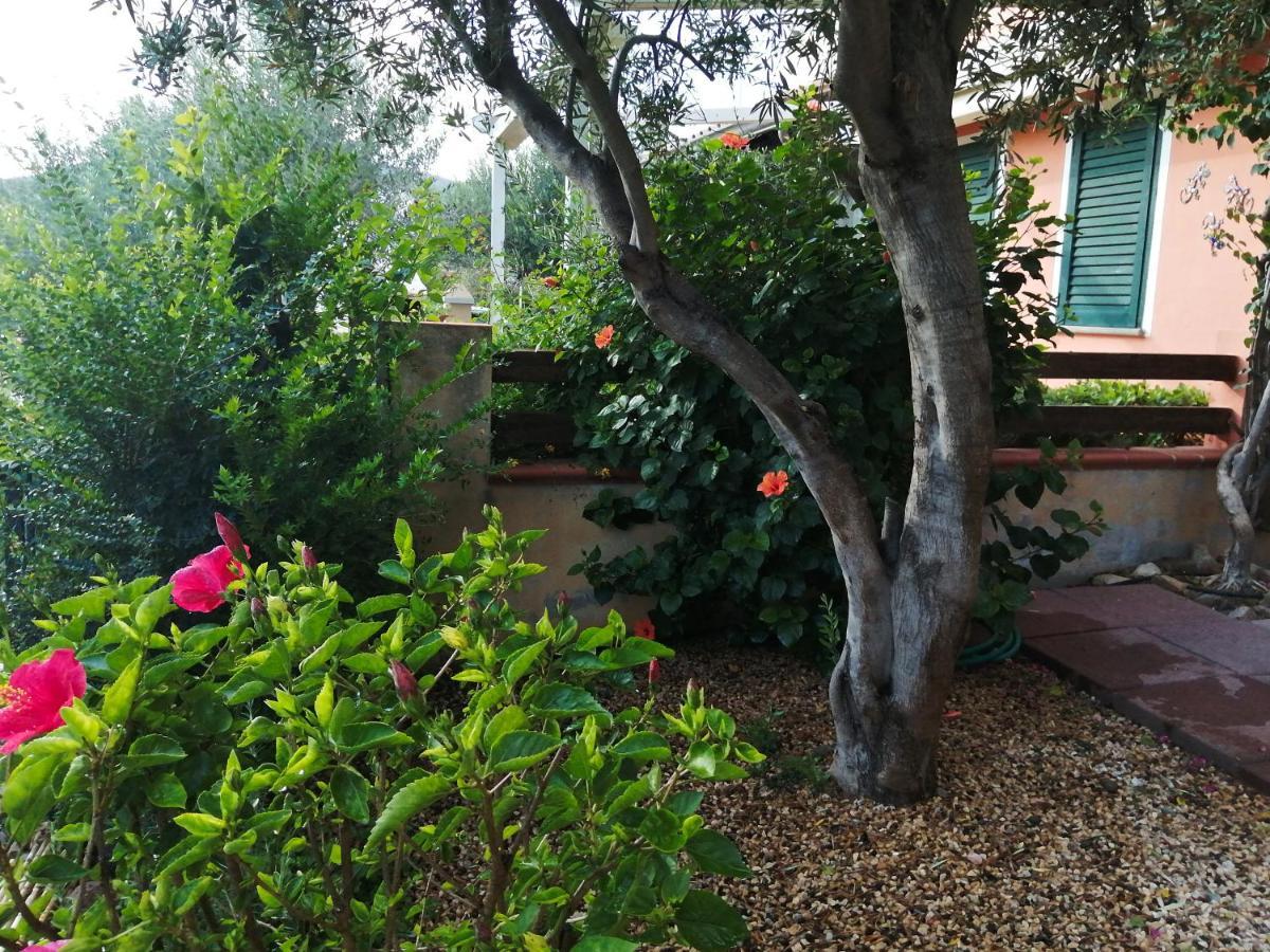 La Casa Nel Borgo Villa Chia Exteriör bild